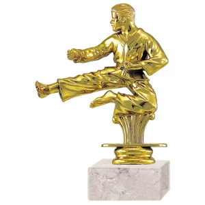 TROFEO KARATE 8416