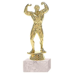 TROFEO FISICOCULTURISMO MOD. 400 18 CM