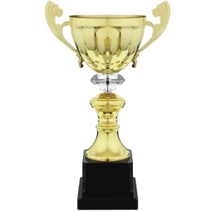 Copa 1807 Diamante Oro y Plata