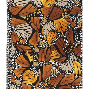 Chalina Mariposa Macro Jqd