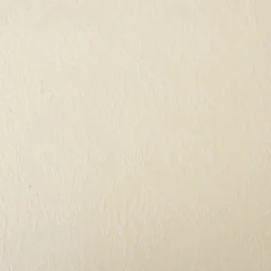 Tejido Piqué Bordado Nº1