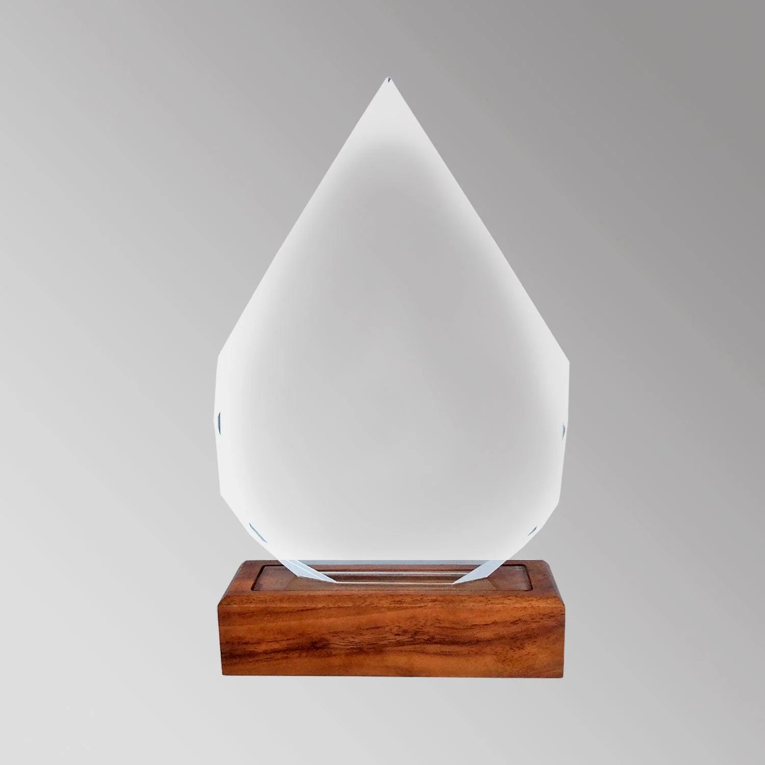 GALVANO CRISTAL CON BASE DE MADERA MOD. BLAS54-25 - Imagen 3