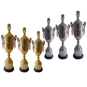 Copa 1654 Oro - Plata