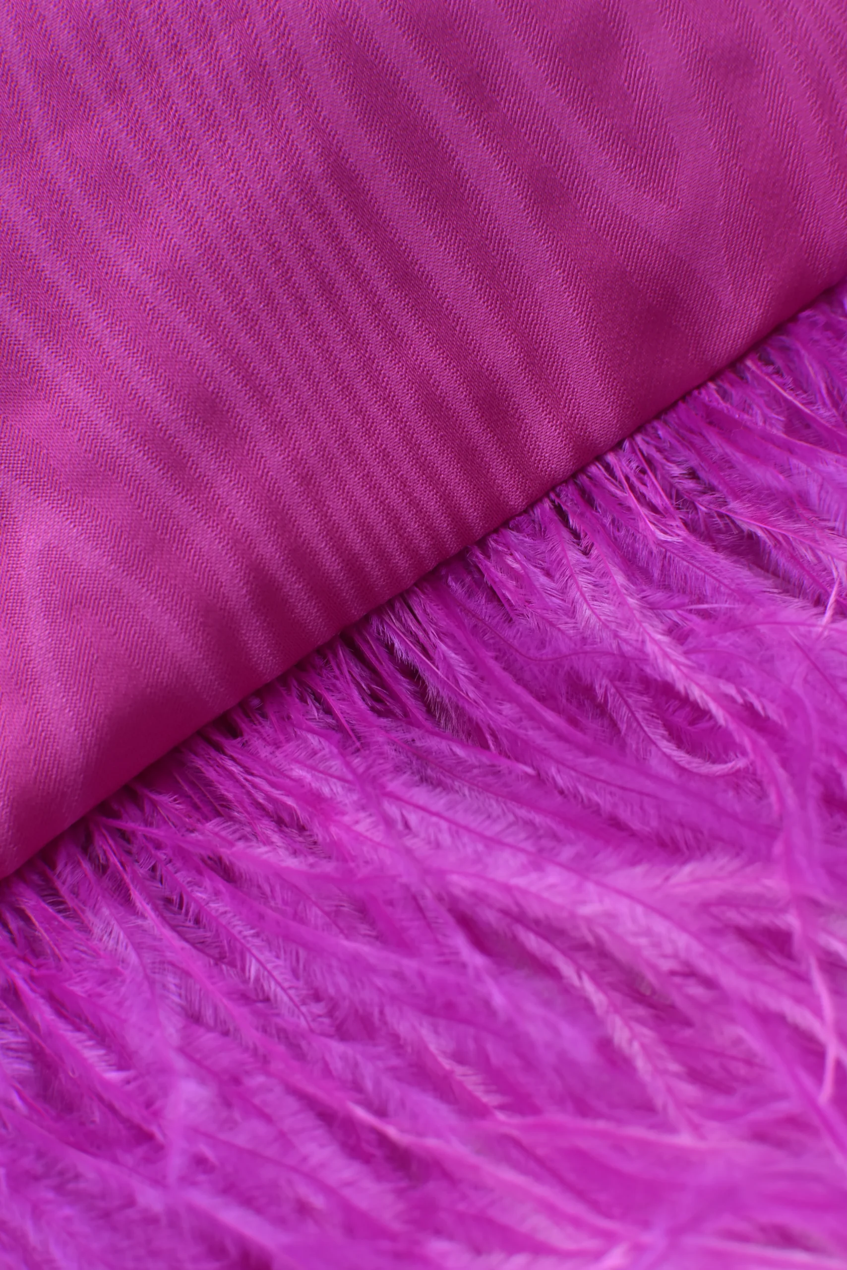 Bombonera Plumas Fucsia - Imagen 3