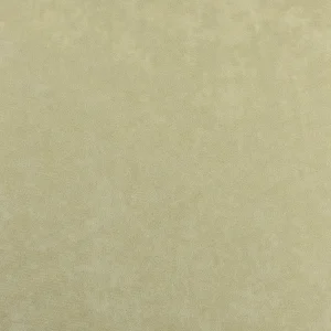 Tejido Dibujo Borde Verde Caqui