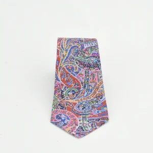 Corbata Cachemir Multicolor