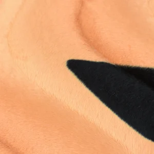 Tejido Peluche Picapiedra