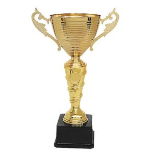 Copa 263 Oro y Plata