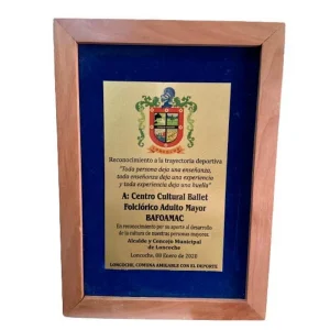 GALVANO RAULI 25 X 35 AZUL TERCIOPELO