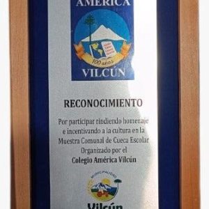 GALVANO MADERA RAULI 2040