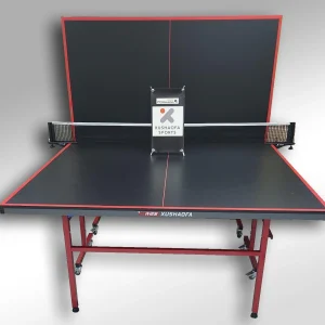 MESA PING PONG XUSHAOFA MD007