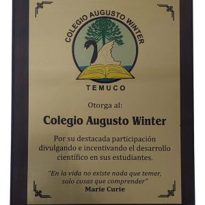 Galvano Madera MDF Enchape Nogal VL-2536-4