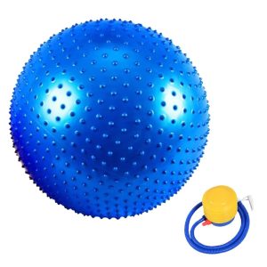 BALON PILATES ERIZO 65CM