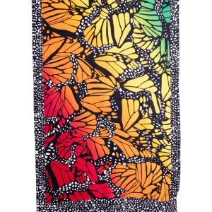 Chalina Mariposa Macro Arcoíris