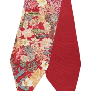 Bufanda Diagonal Cactáceas Jardín Botánico