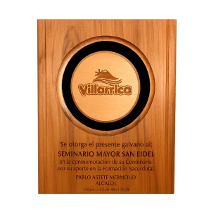 GALVANO RAULI CON PORTA LOGO 22 X 28 CM