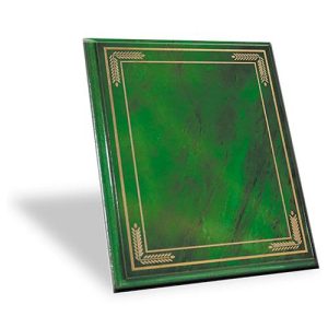 GALVANO W10 VERDE 20 X 25