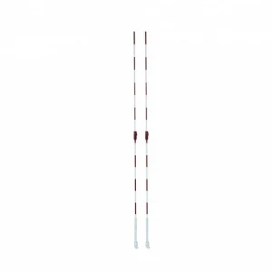 Par de antenas vóleibol Mikasa hock type