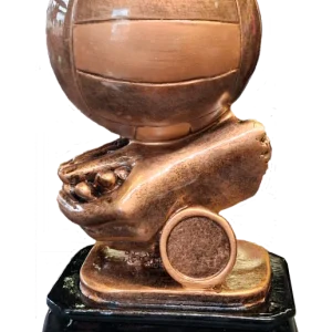 TROFEO VOLEIBOL 3052 20cm